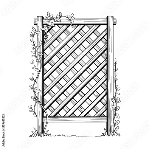 Hand drawn garden trellis with climbing plants in black and white