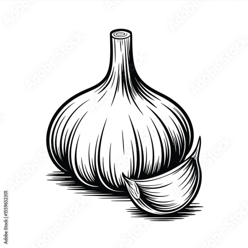 Detailed Black and White Illustration of Garlic Bulb and Clove
