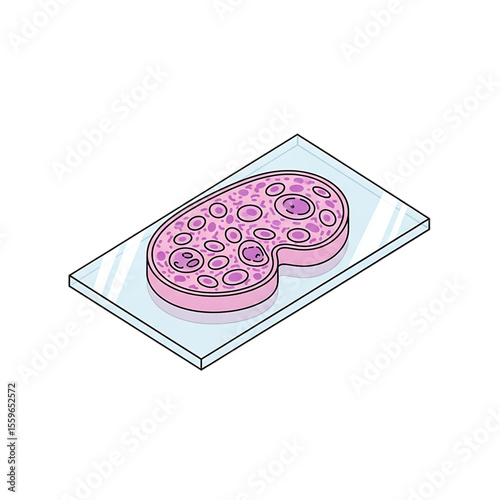 Microscopic view of cells on a glass slide for laboratory analysis.