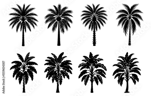 Silhouette assortment of various tropical palm trees