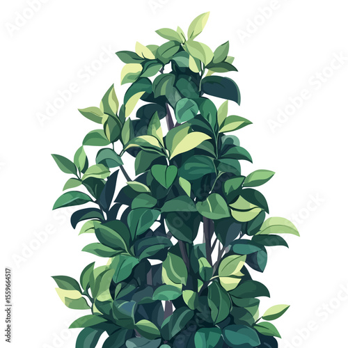 green plant isolated on white background