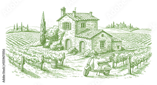 Tuscan vineyard adventure: vintage vector illustration for wall art and decor