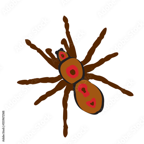 Stylized brown spider illustration with red markings, ideal for nature, wildlife, or Halloween-themed content, featuring a flat and clean design.