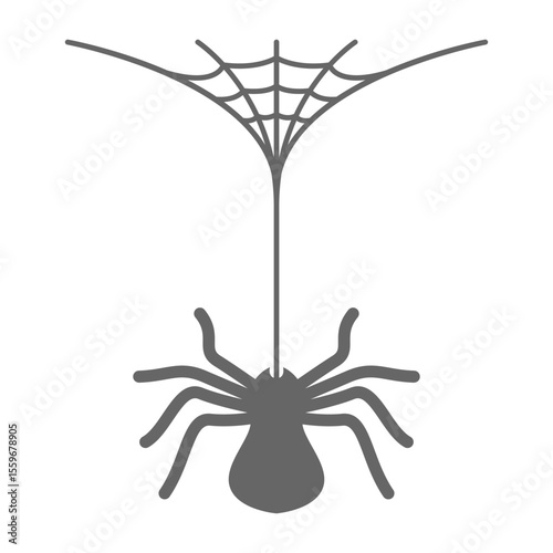 Spider logo icon design