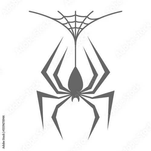 Spider logo icon design