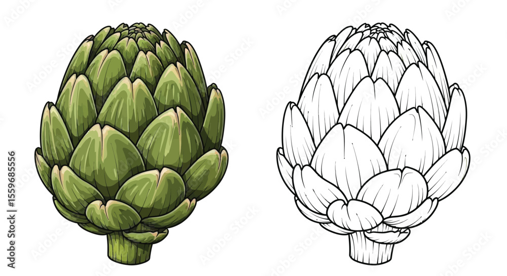 Obraz premium Artichoke Coloring Page with Full Color and Outline Styles Educational Botanical Activity