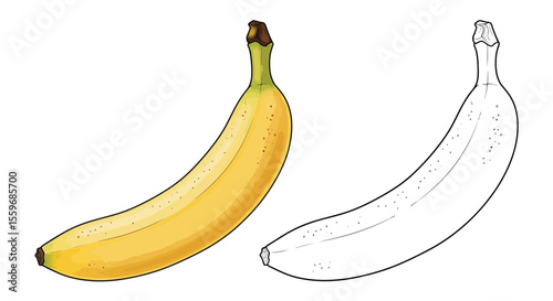 Banana Coloring Page with Full Color and Outline Fruit Art Educational Kids Activity
