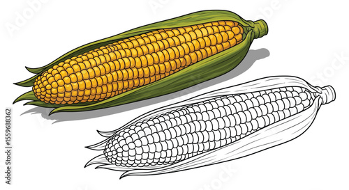 Corn on the Cob Coloring Page with Full Color and Outline Vegetable Art Kids Activity
