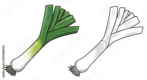 Leek Vegetable Coloring Page with Full Color and Outline Vegetable Art Educational Resource