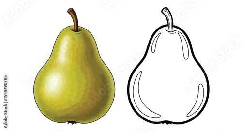 Pear Coloring Page with Full Color and Outline Fruit Art Educational Kids Activity