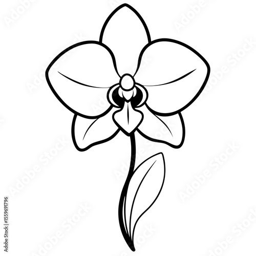 A single orchid bloom on a white background, soft shadows, clean and elegant composition