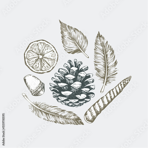 Peaceful vector sketch of natural finds like pinecone, feather, pebble, and leaf drawn in quiet graphite on a speckled paper background.