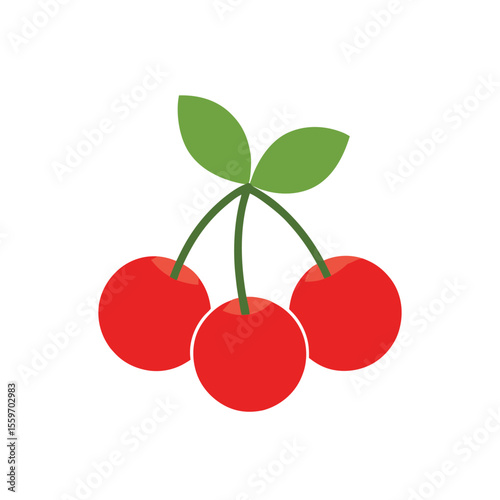 vector illustration of cherry