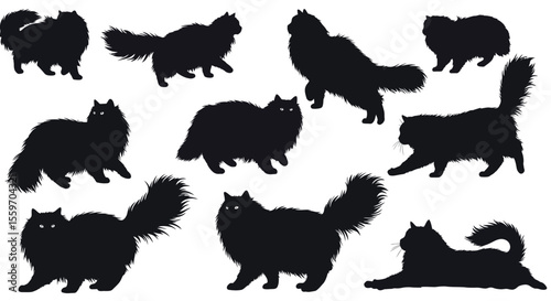 Silhouette cats vector illustration - furry feline design for posters and prints