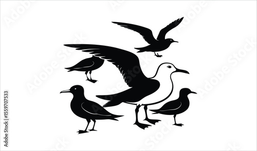 Black silhouettes of seagulls in different poses