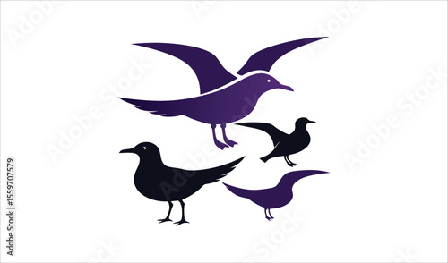 Stylized seagull birds silhouette illustration