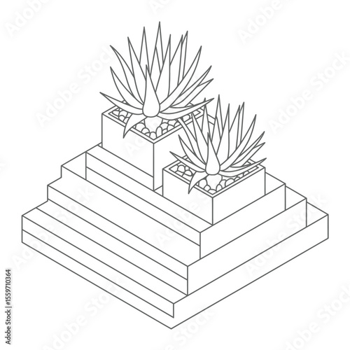 Isometric Illustration of Succulents on a Tiered Structure