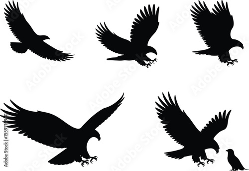 Eagle hawk predator bird silhouette collection, flying raptors with open wings, hunting prey in nature, freedom wildlife vector illustration art