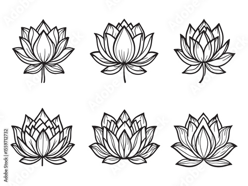 Minimalist lotus flower contour drawing for floral design