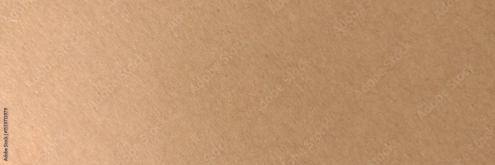 Obraz premium Brown paper texture background. Panorama view photo. Vector design.