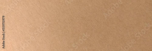 Brown paper texture background.  Panorama view photo.  Vector design.