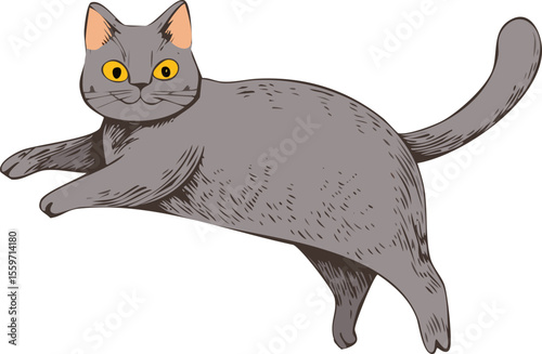 Cat, Vector, Set Funny Cat,
Cute and funny, cat illustrations, Cat Illustration set, Handmade, scribbles, doodle, illustrations