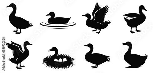 Collection of Black and White Duck and Goose Silhouettes