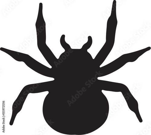 Top View Black Spider Silhouette - Halloween Insect Vector