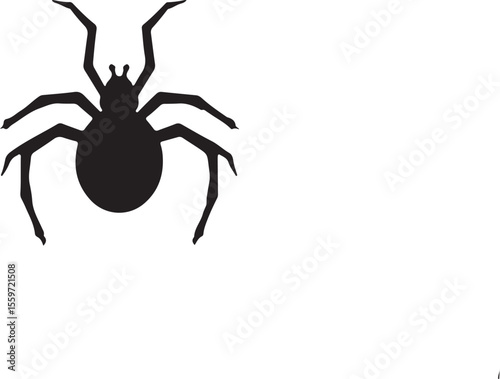 Top View Black Spider Silhouette - Halloween Insect Vector