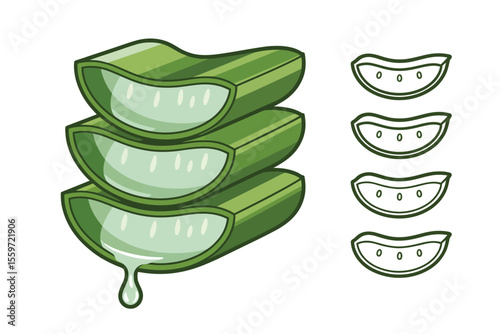 Aloe Vera Slices with Gel Droplet