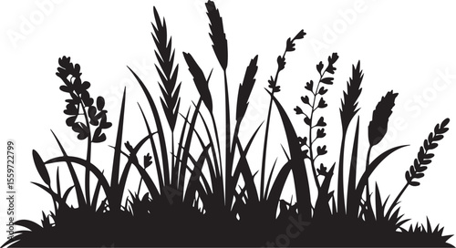 detailed line art illustration of wild grass and reed silhouette, featuring a dense cluster of tall grasses and varied seed heads in monochrome