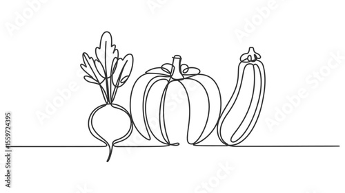 One Line Drawing of Beetroot Pumpkin and Zucchini Vegetables
