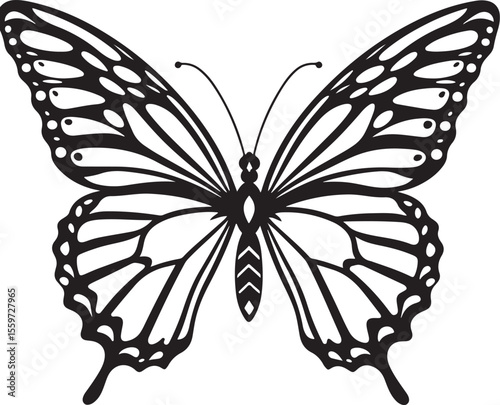 Elegant Butterfly Outline - Detailed Insect Vector Illustration