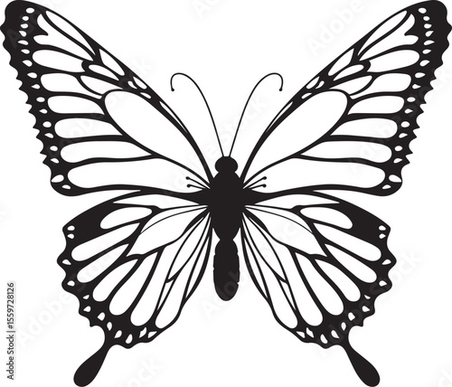 Elegant Butterfly Outline - Detailed Insect Vector Illustration