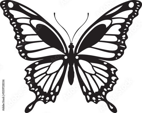 Elegant Butterfly Outline - Detailed Insect Vector Illustration