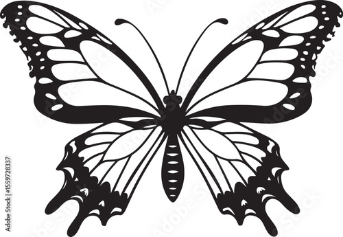 Elegant Butterfly Outline - Detailed Insect Vector Illustration
