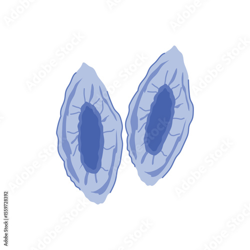 hygiene disposable shoe covers cartoon vector illustration