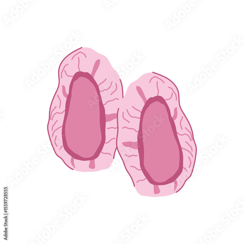 antistatic disposable shoe covers cartoon vector illustration