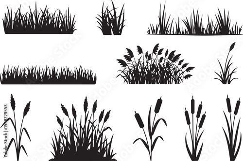grass and reed silhouettes in black, showcasing nature's simple beauty against a clean background