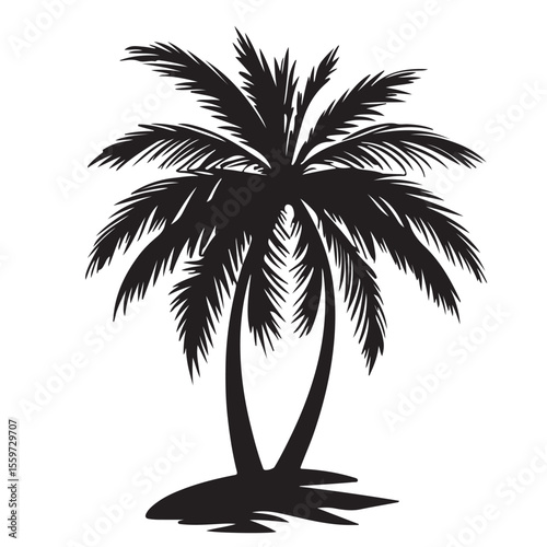 plam tree silhouette