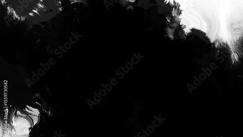 Black ink drops bleed and spread across a white background in an organic artistic transition, perfect for use as a reveal, background, or luma matte effect