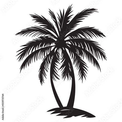 plam tree silhouette