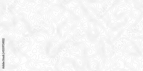 Abstract background with a wave grid map and topography map and seamless pattern with lines White wave paper curved reliefs abstract background, Abstract topographic contours map background.	