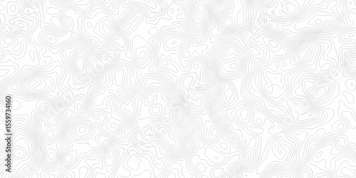 Abstract background with a wave grid map and topography map and seamless pattern with lines White wave paper curved reliefs abstract background, Abstract topographic contours map background.	