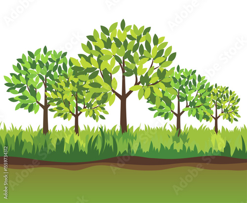 group of green trees in the garden green trees growing