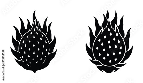 Detailed Dragonfruit Silhouette Illustration of Exotic Tropical Fruit Perfect for Creative Modern Designs