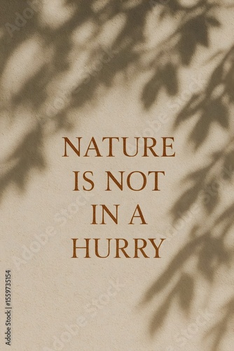 Artistic beige nature background with leaf shadows, inspiring patience and a calm, serene feeling, reflecting the beauty of natural inspiration.