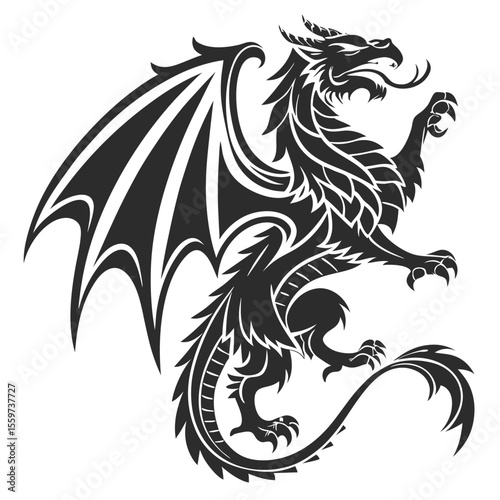 Majestic black dragon silhouette with detailed wings and claws
