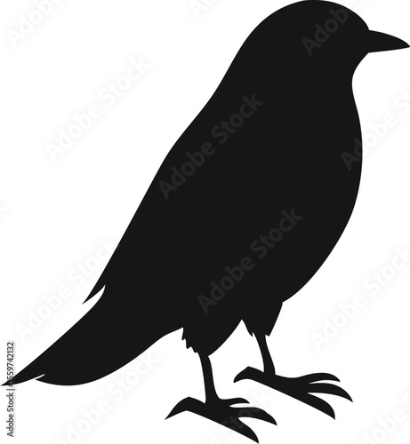 Bird Silhouette Vector | Black Flying Animal Clipart Icon for Designs