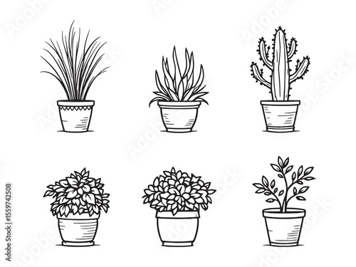 simple line art of potted plant illustration design